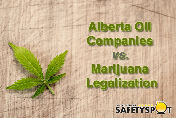 safety is a concern around legal marijuana